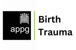 APPG Birth Trauma logo